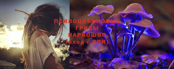 эйфоретик Няндома