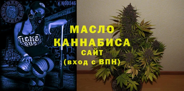 эйфоретик Няндома