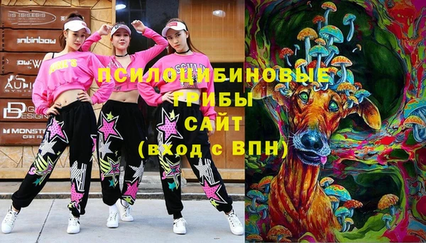 таблы Болохово