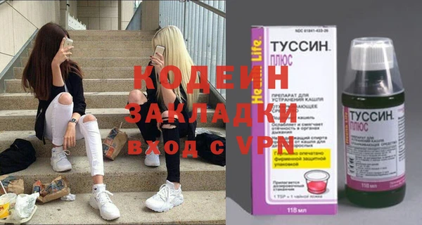 эйфоретик Няндома