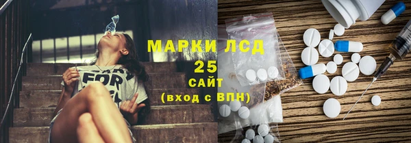 эйфоретик Няндома