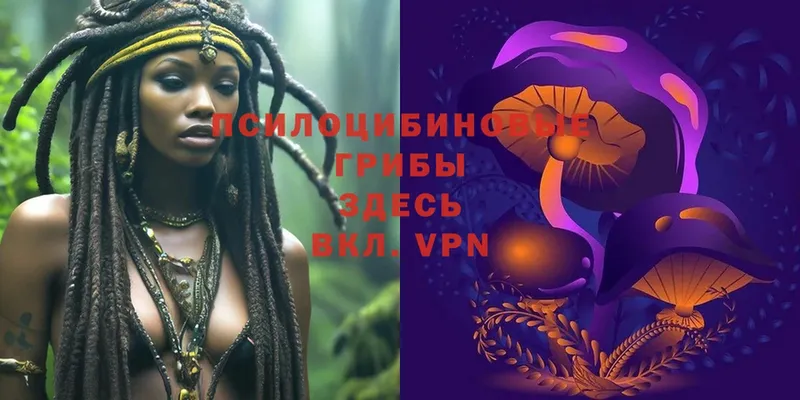 ОМГ ОМГ   Абинск  Псилоцибиновые грибы Magic Shrooms 