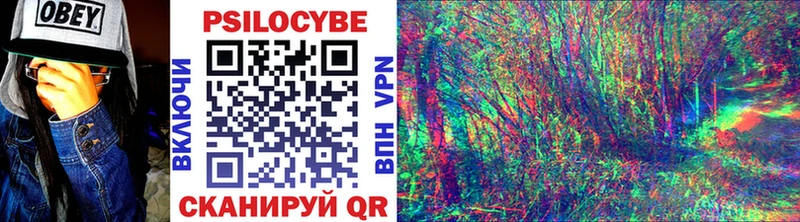 Галлюциногенные грибы Cubensis  Абинск 