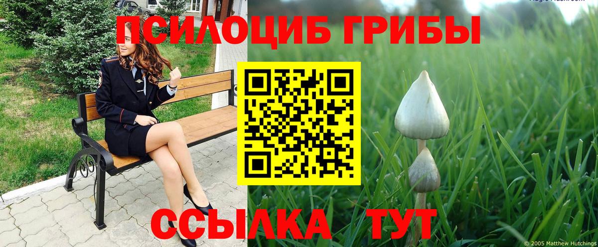 Лсд 25 Абинск