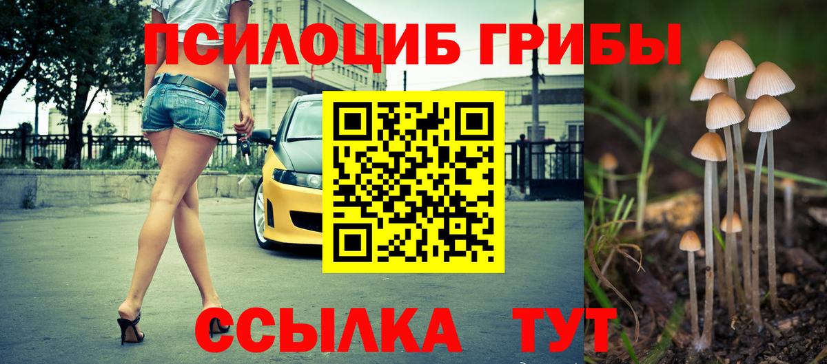 Псилоцибиновые грибы MAGIC MUSHROOMS  Вход с VPN  Абинск 